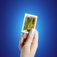 تمبر یادگاری سال بین المللی ارزن