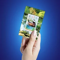 تمبر یادگاری اردک سر سفید